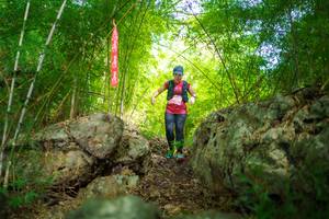 BIB: 
                            <button type="button" onclick="openModal(22087662)" class="btn btn-primary btn-sm float-right btn-popup" data-toggle="modal" data-target=".modal-high-quality">
                        <i class="fas fa-shopping-cart"></i> Add to Cart
                    </button>
                                            <button type="button" onclick="isThisMe(22087662, true)" class="btn btn-success btn-sm float-right btn-popup btn-isme hidden" data-toggle="tooltip" data-placement="bottom" title="นี่คือรูปของคุณใช่ไหม คลิกที่นี่เพื่อเอาเข้าอัลบั้ม">
                        <i class="fas fa-plus"></i> Add to album
                    </button>
                    <button type="button" onclick="isThisMe(22087662, false)" class="btn btn-warning btn-sm float-right btn-popup btn-isnotme hidden">
                        <i class="fas fa-ban"></i> Remove from album
                    </button>